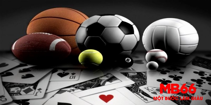 SBOBET Sport MB66 - Một Sân Chơi Cá Cược Đỉnh Cao 2026 - QEXIN.INFO