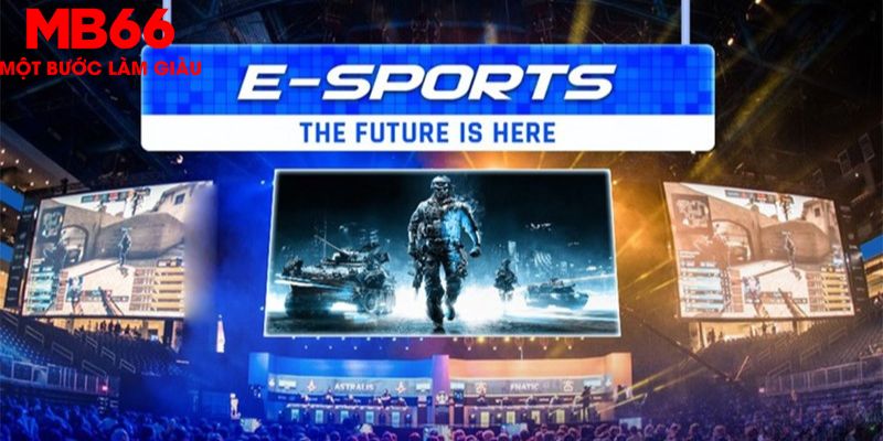 Game Esport Là Gì? Trò Chơi Cá Cược Điện Tử Hấp Dẫn 2026 - QEXIN.INFO