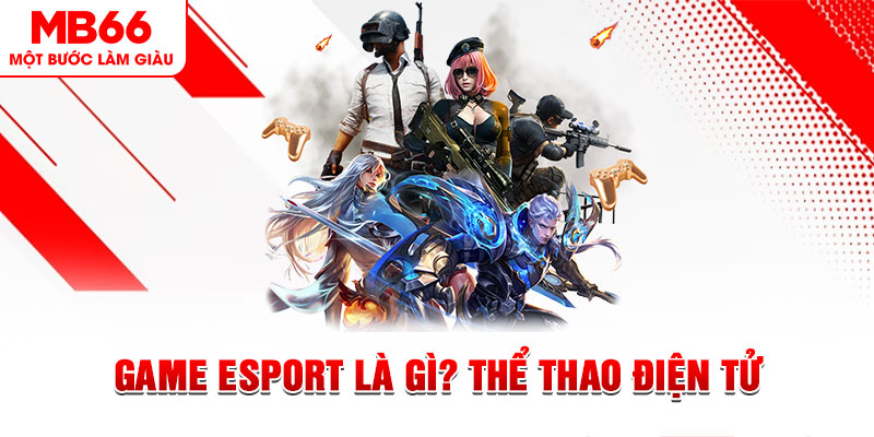Game Esport Là Gì? Trò Chơi Cá Cược Điện Tử Hấp Dẫn 2026 - QEXIN.INFO