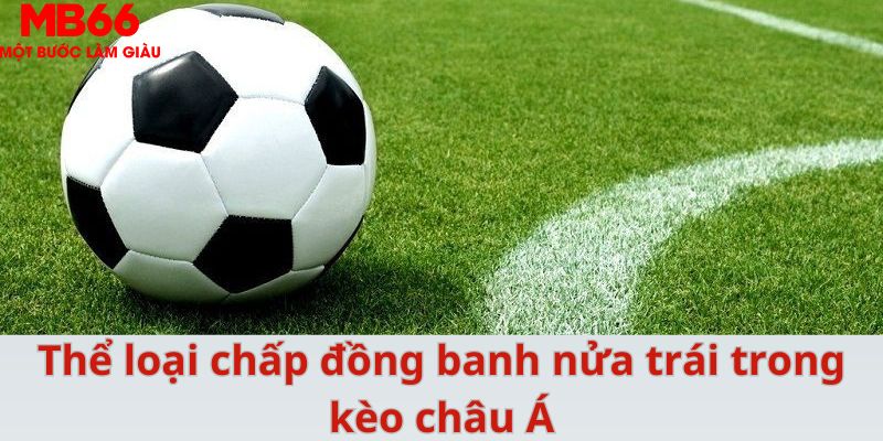 Kèo Châu Á - Cách Chơi Bất Bại Dành Cho Mọi Cược Thủ - QEXIN.INFO