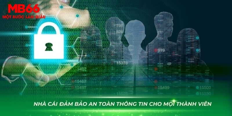 Giấy Phép Hoạt Động MB66 - Minh Chứng Uy Tín Hàng Đầu - QEXIN.INFO