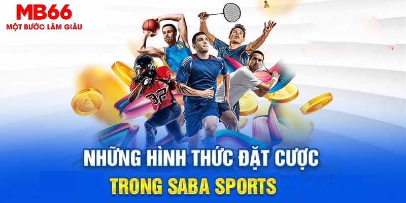 Saba Sport MB66 - Sảnh Thể Thao Uy Tín, Trả Thưởng Nhanh - QEXIN.INFO