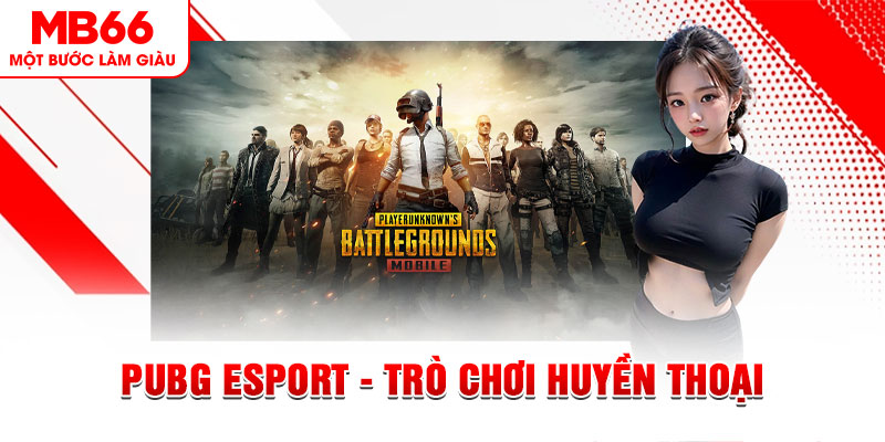 Pubg Esport - Trò Chơi Huyền Thoại Với Sức Hút Đặc Biệt - QEXIN.INFO