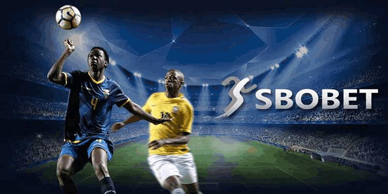 SBOBET Sport MB66 - Một Sân Chơi Cá Cược Đỉnh Cao 2026 - QEXIN.INFO