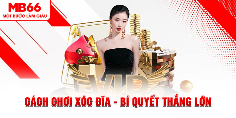 Cách Chơi Xóc Đĩa - Bí Quyết Thắng Lớn Đến Từ MB66 - QEXIN.INFO