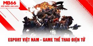E-sports MB66 - Không Gian Giải Trí Ấn Tượng Thế Hệ Mới - QEXIN.INFO