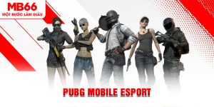 E-sports MB66 - Không Gian Giải Trí Ấn Tượng Thế Hệ Mới - QEXIN.INFO