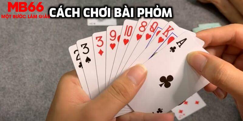 Cách Chơi Bài Phỏm - Bật Mí Bí Quyết Chơi Phỏm Cực Đỉnh - QEXIN.INFO