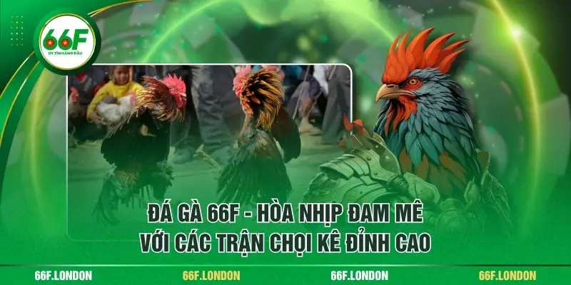 66F - Link 66F.Com Mới Nhất 2026 | Tặng 66K Khi Đăng Ký