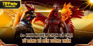 Đá Gà 789WIN | Sân Chơi Đẳng Cấp Cho Tay Chuyên Cá Cược - QEXIN.INFO