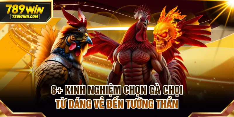 8+ Kinh Nghiệm Chọn Gà Chọi Từ Dáng Vẻ Đến Tướng Thần - QEXIN.INFO
