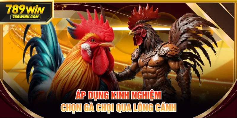 8+ Kinh Nghiệm Chọn Gà Chọi Từ Dáng Vẻ Đến Tướng Thần - QEXIN.INFO