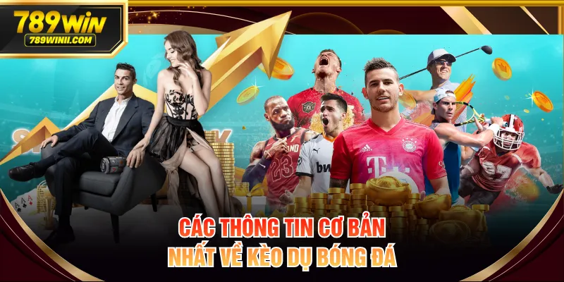 Review Kèo Dụ Bóng Đá Chi Tiết Dành Cho Người Chơi Mới - QEXIN.INFO