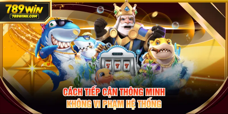 Tool Hack Bắn Cá Là Gì? Tác Hại Thường Gặp Và Giải Pháp - QEXIN.INFO