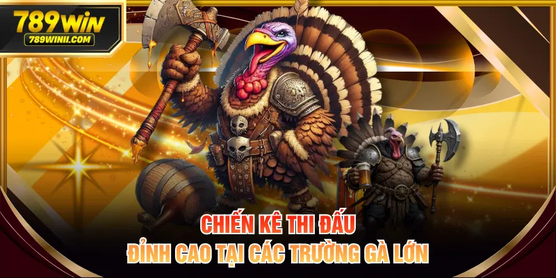 Đá Gà 789WIN | Sân Chơi Đẳng Cấp Cho Tay Chuyên Cá Cược - QEXIN.INFO