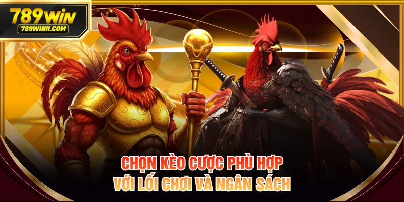 Đá Gà C3 Là Gì? Luật Chơi Chi Tiết Và Mẹo Cá Cược Hiệu Quả - QEXIN.INFO