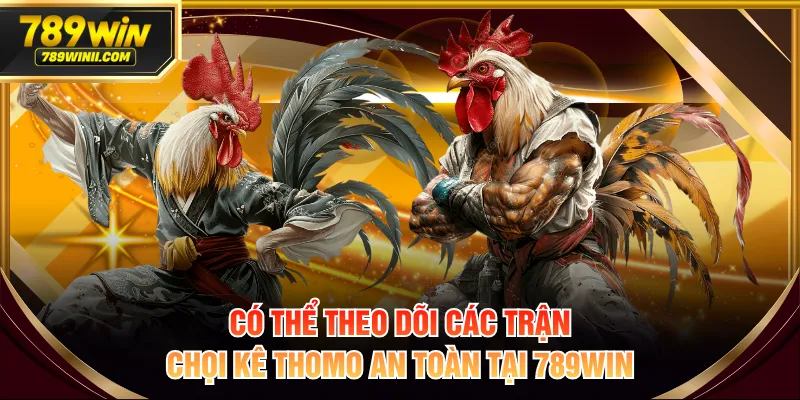 Khám Phá Top 5 Cách Đá Gà Thomo Phổ Biến Nhất Hiện Nay - QEXIN.INFO