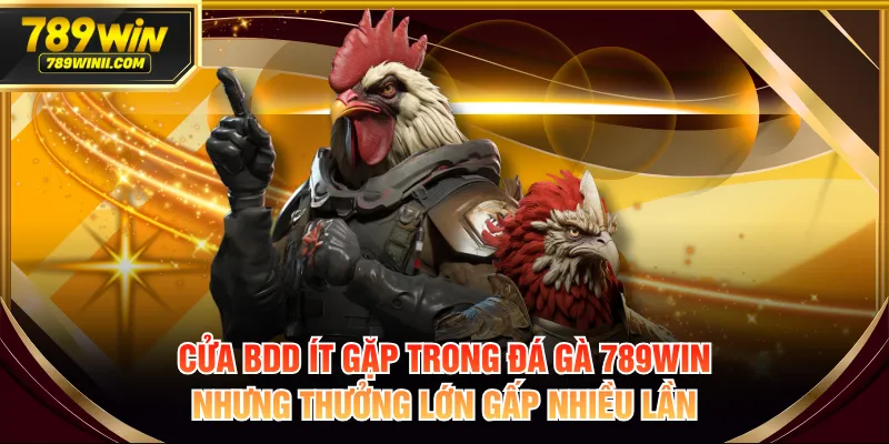 Đá Gà 789WIN | Sân Chơi Đẳng Cấp Cho Tay Chuyên Cá Cược - QEXIN.INFO