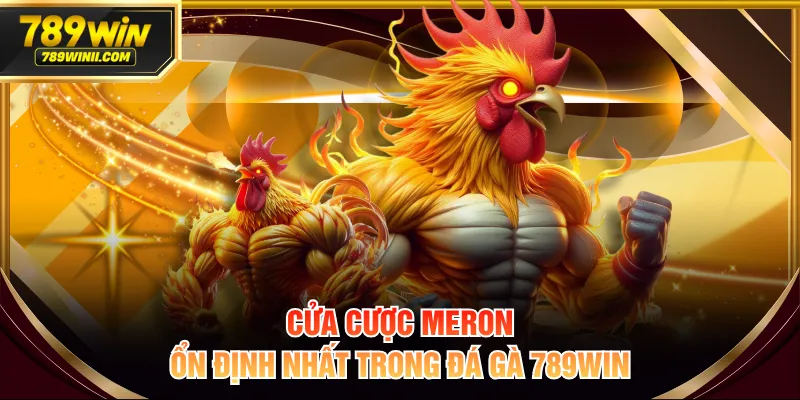 Đá Gà 789WIN | Sân Chơi Đẳng Cấp Cho Tay Chuyên Cá Cược - QEXIN.INFO