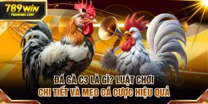 Đá Gà 789WIN | Sân Chơi Đẳng Cấp Cho Tay Chuyên Cá Cược - QEXIN.INFO