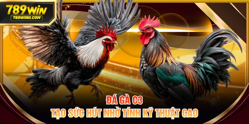 Đá Gà C3 Là Gì? Luật Chơi Chi Tiết Và Mẹo Cá Cược Hiệu Quả - QEXIN.INFO