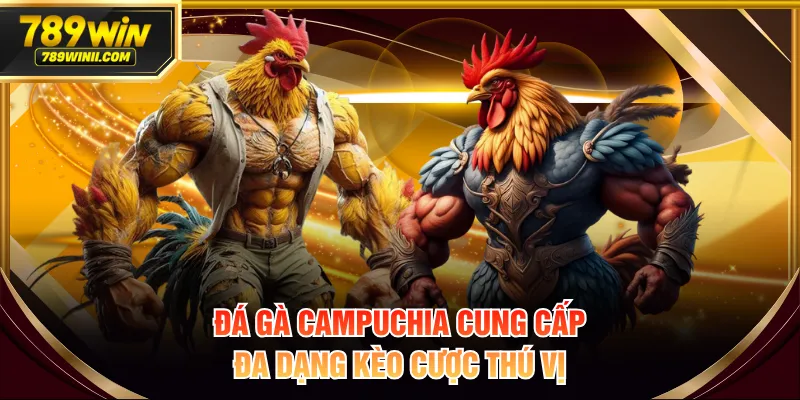 Xem Đá Gà Campuchia Kịch Tính Và Thú Vị Full HD Hôm Nay - QEXIN.INFO