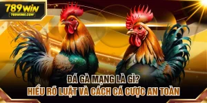 Đá Gà 789WIN | Sân Chơi Đẳng Cấp Cho Tay Chuyên Cá Cược - QEXIN.INFO