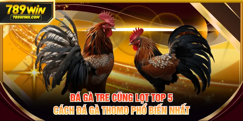 Khám Phá Top 5 Cách Đá Gà Thomo Phổ Biến Nhất Hiện Nay - QEXIN.INFO