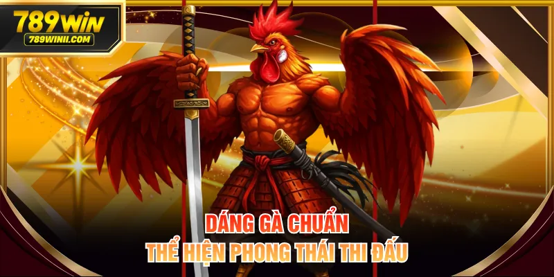 8+ Kinh Nghiệm Chọn Gà Chọi Từ Dáng Vẻ Đến Tướng Thần - QEXIN.INFO