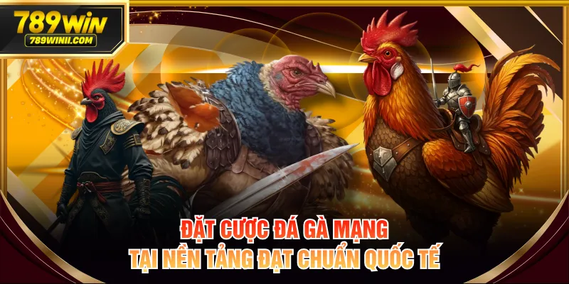 Đá Gà Mạng Là Gì? Hiểu Rõ Luật Và Cách Cá Cược An Toàn - QEXIN.INFO