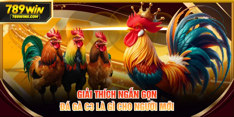 Đá Gà C3 Là Gì? Luật Chơi Chi Tiết Và Mẹo Cá Cược Hiệu Quả - QEXIN.INFO