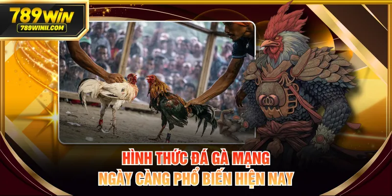 Đá Gà Mạng Là Gì? Hiểu Rõ Luật Và Cách Cá Cược An Toàn - QEXIN.INFO