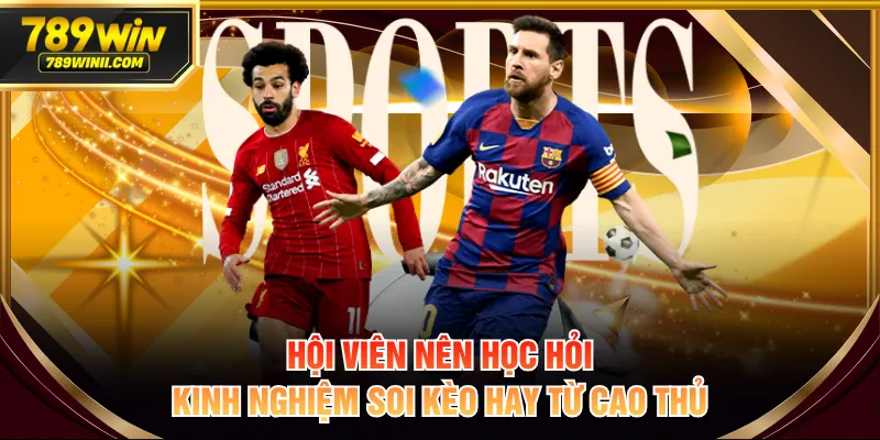 789WIN - Nền Tảng Dự Đoán Kết Quả Bóng Đá Cực Chuẩn 2026 - QEXIN.INFO