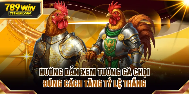 Hướng Dẫn Xem Tướng Gà Chọi Đúng Cách Tăng Tỷ Lệ Thắng - QEXIN.INFO