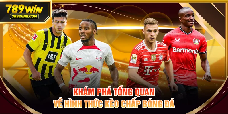 Thông Tin Kèo Chấp Bóng Đá - Cập Nhật Chi Tiết Từ A Đến Z - QEXIN.INFO