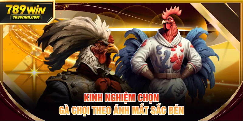 8+ Kinh Nghiệm Chọn Gà Chọi Từ Dáng Vẻ Đến Tướng Thần - QEXIN.INFO