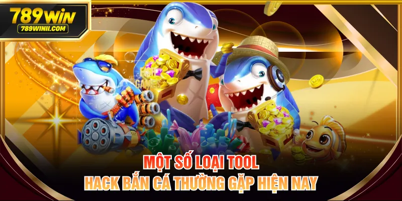 Tool Hack Bắn Cá Là Gì? Tác Hại Thường Gặp Và Giải Pháp - QEXIN.INFO