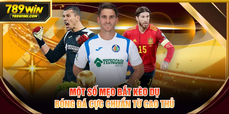 Review Kèo Dụ Bóng Đá Chi Tiết Dành Cho Người Chơi Mới - QEXIN.INFO