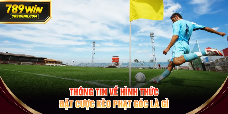 Kèo Phạt Góc Là Gì? Cách Đọc Kèo & 4 Bí Quyết Dễ Thắng - QEXIN.INFO