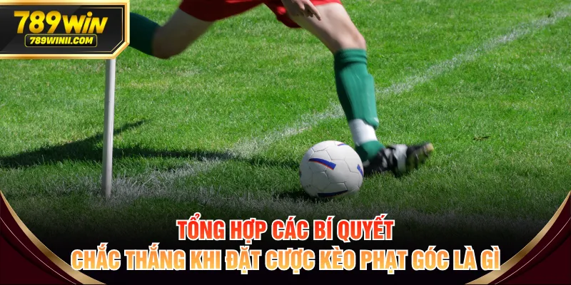 Kèo Phạt Góc Là Gì? Cách Đọc Kèo & 4 Bí Quyết Dễ Thắng - QEXIN.INFO