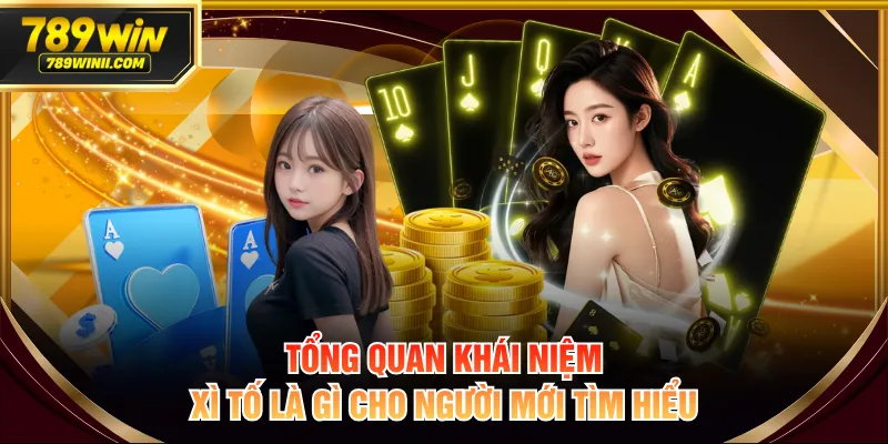 Xì Tố Là Gì? Luật Chơi Chuẩn Xác Và Kinh Nghiệm Hay - QEXIN.INFO