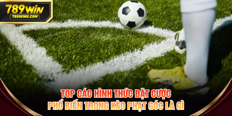 Kèo Phạt Góc Là Gì? Cách Đọc Kèo & 4 Bí Quyết Dễ Thắng - QEXIN.INFO