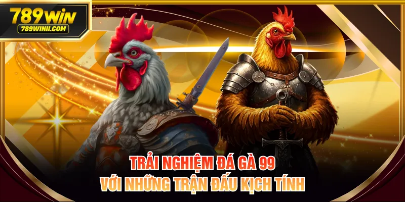 Đá Gà 99 Là Gì? Hình Thức Cá Cược Khiến Sư Kê Say Mê - QEXIN.INFO