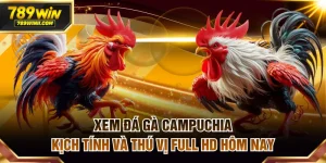 Đá Gà 789WIN | Sân Chơi Đẳng Cấp Cho Tay Chuyên Cá Cược - QEXIN.INFO