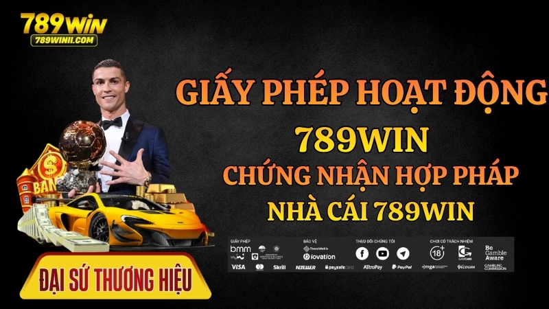 Giấy Phép Hoạt Động 789WIN – Thông Tin Pháp Lý Và Hoạt Động - QEXIN.INFO