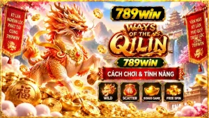 Nổ Hũ 789WIN – Kho Game Slot Đa Dạng & Cách Chơi 2026 - QEXIN.INFO